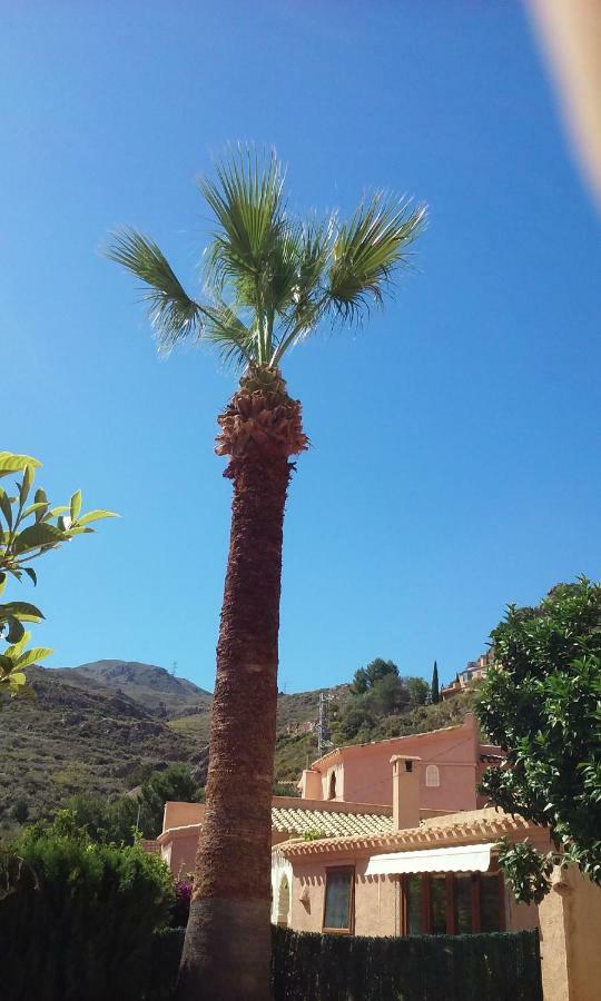 Cedra 5, Holiday home, cosy apartment Turre Exterior foto